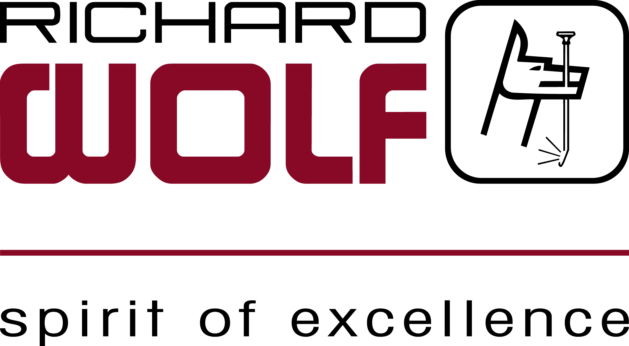 Richard Wolf - logo